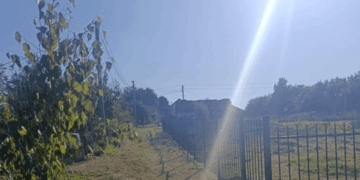 Єврейське кладовище в Завалові на Тернопільщині огородили за сприяння МЗС Німеччини