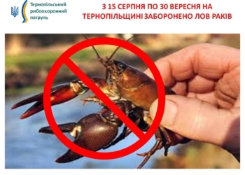 На Тернопільщині з 15 серпня заборонили вилов раків через другу линьку