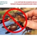 На Тернопільщині з 15 серпня заборонили вилов раків через другу линьку