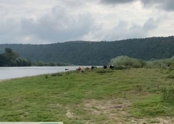 скасування права комунальної власності на земельну ділянку