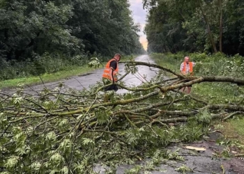 Дорожники оперативно ліквідували наслідки буревію, який на вихідних пройшов Тернопільщиною
