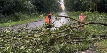 Дорожники оперативно ліквідували наслідки буревію, який на вихідних пройшов Тернопільщиною