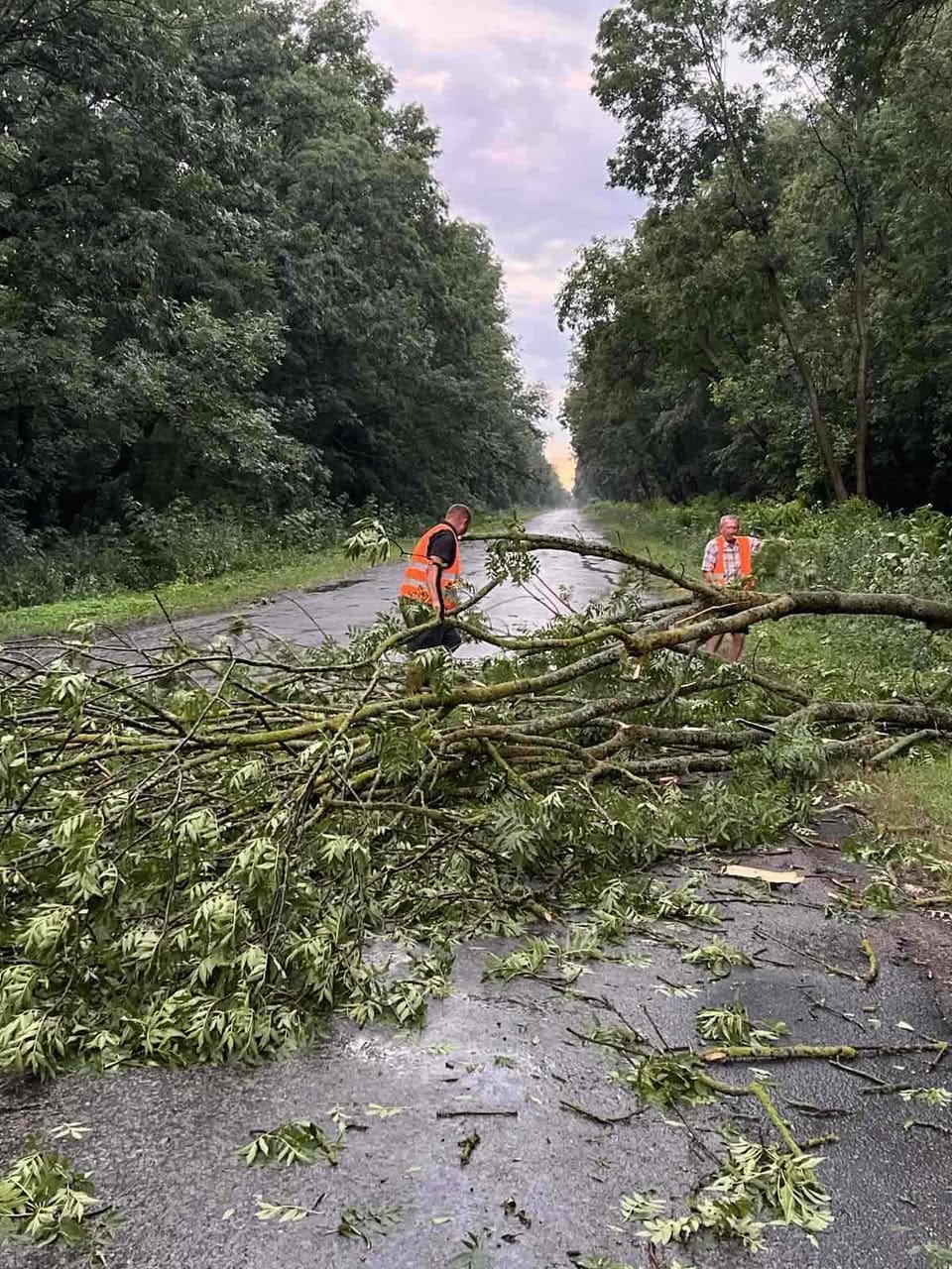 Дорожники оперативно ліквідували наслідки буревію, який на вихідних пройшов Тернопільщиною