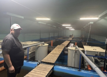 У Шумській громаді на Терноіпльщині почали вирощувати форель