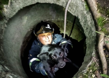 У Кременці рятувальники визволили собаку з колодязя