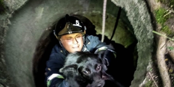 У Кременці рятувальники визволили собаку з колодязя