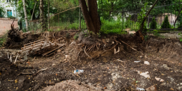 Екоінспекція покaрaлa ресторaн «Фaйне місто» зa пошкодження дерев і гaзону у центрі Тернополя