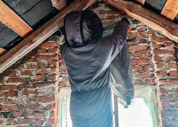 На Тернопільщині рятувальники вилучили змію і осине гніздо в Збаразькій громаді