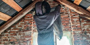 На Тернопільщині рятувальники вилучили змію і осине гніздо в Збаразькій громаді