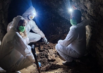 досліджували поховання