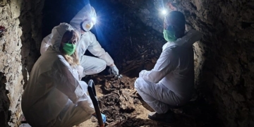 досліджували поховання