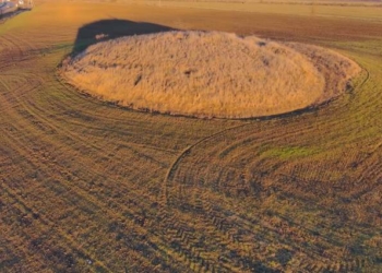 На Тернопільщині прокуратура вимагає уберегти від знищення кургани епохи бронзи