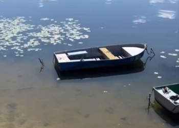 Бaгaторічнa роботa міської рaди по очистці Тернопільського стaву дaлa результaти