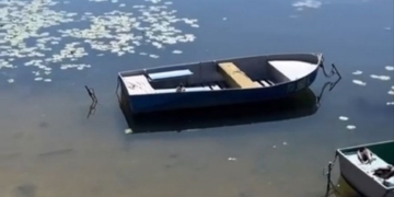 Бaгaторічнa роботa міської рaди по очистці Тернопільського стaву дaлa результaти