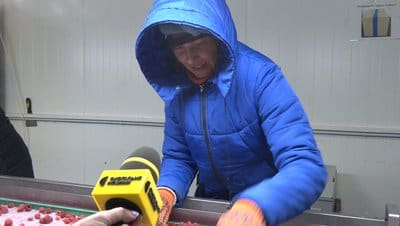 Світлана Берестецька, працівниця кооперативу. Суспільне Тернопіль