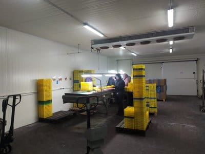 У сортувальному цеху. Суспільне Тернопіль