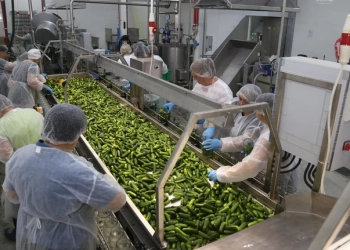 На Тернопільщині відкрився завод з виробництва овочевих консерв та соління