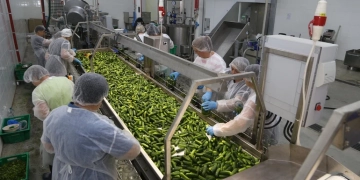 На Тернопільщині відкрився завод з виробництва овочевих консерв та соління