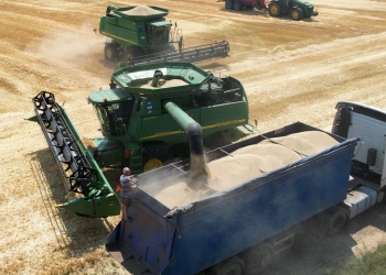 На Тернопільщині аграрії зібрали рекордний урожай пшениці