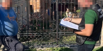 На Тернопільщині судитимуть організовану групу за незаконну вирубку лісу на 3,4 млн грн