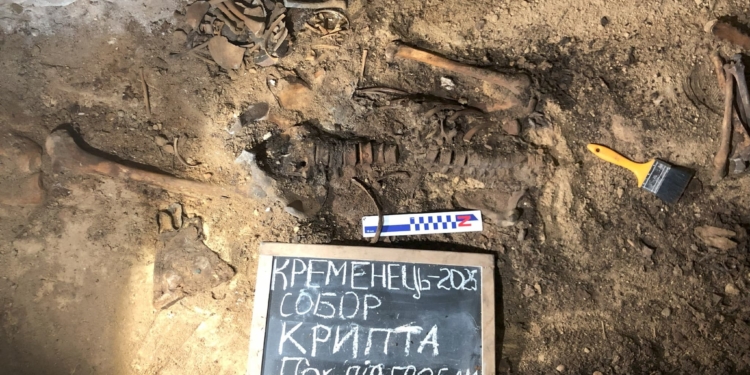 Археологи завершили сезон розкопок у Кременці: від монгольської облоги до шляхетських крипт