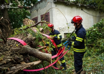 Негода в Тернополі: вітер валить дерева, а рятувальники — ліквідовують наслідки