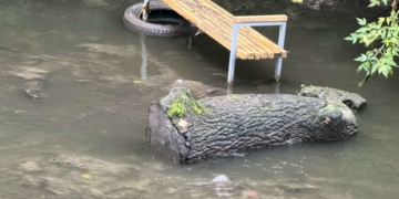 У Бучачі неповнолітні вандали пошкодили дитячий інклюзивний майданчик