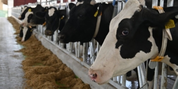 відкрили першу чергу молочно-товарного комплексу