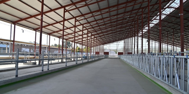 У Синяві на Тернопільщині відкрили молочно-товарний комплекс