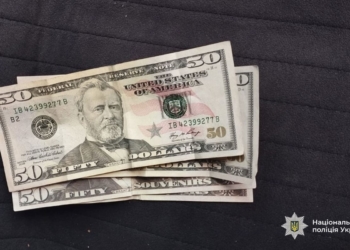 На Тернопільщині прибиральниця обікрала роботодавця