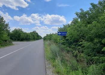 Тернопільська ОВА просить Уряд спростити видалення аварійних дерев уздовж доріг