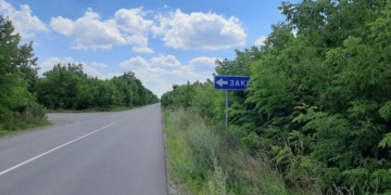 Тернопільська ОВА просить Уряд спростити видалення аварійних дерев уздовж доріг