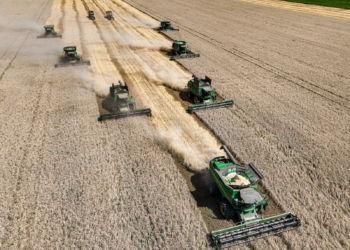 Західний Хаб МХП сплатив за перше півріччя 215 млн гривень податків