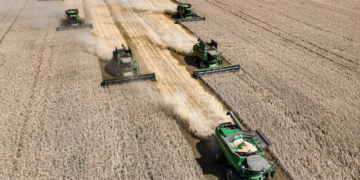 Західний Хаб МХП сплатив за перше півріччя 215 млн гривень податків