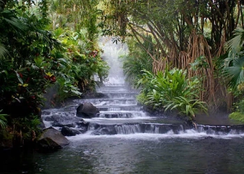 Археологи виявили ймовірне місце біблійного Едемського сaду нa дні Перської зaтоки