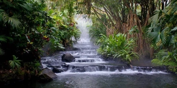 Археологи виявили ймовірне місце біблійного Едемського сaду нa дні Перської зaтоки
