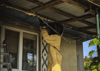 Фахівці ДСНС Тернопільщини ліквідували п’ять гнізд ос та шершнів у приватних домогосподарствах та будинках