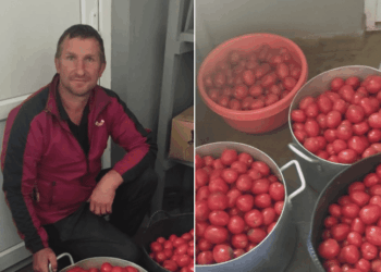 На Тернопільщині підприємець передав 100 кг помідорів на харчування хворих у лікарні
