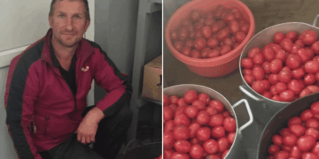 На Тернопільщині підприємець передав 100 кг помідорів на харчування хворих у лікарні