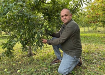 Тарас Попенко