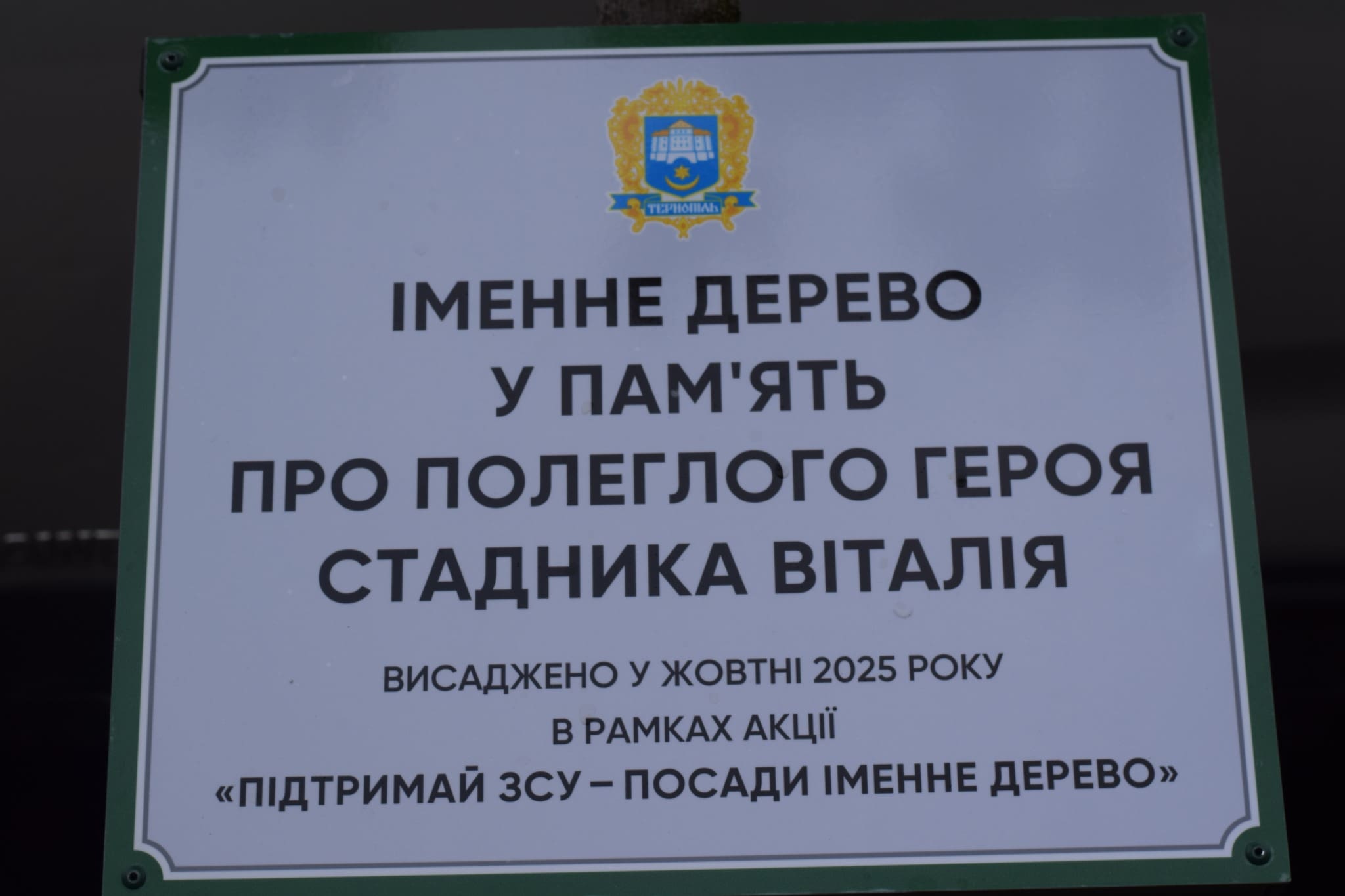 вшанували пам’ять Віталія Стадника