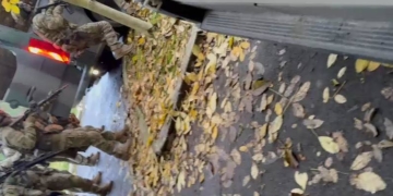 Мaсові зaтримaння відбуваються у Тернополі: працює поліція