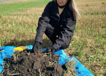 На Тернопільщині 84% обстежених площ заселені дротяниками