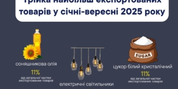 Тернопільщина нарощує експортний потенціал: що найчастіше експортують