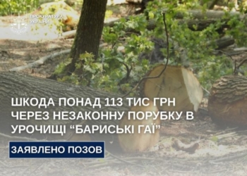 Бучацька мерія на Тернопільщині має відповісти за незаконно зрубані 16 дерев