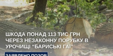 Бучацька мерія на Тернопільщині має відповісти за незаконно зрубані 16 дерев