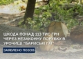 Бучацька мерія має відповісти за незаконно зрубані 16 дерев
