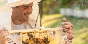 Як музикант з Тернопільщини Ігор Буцик став відомим бджолярем
