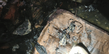 У Бережанах на Тернопільщині у результаті отруєння чадним газом загинув пенсіонер