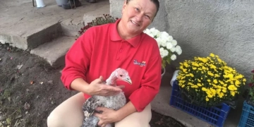 вкрали 28 індиків